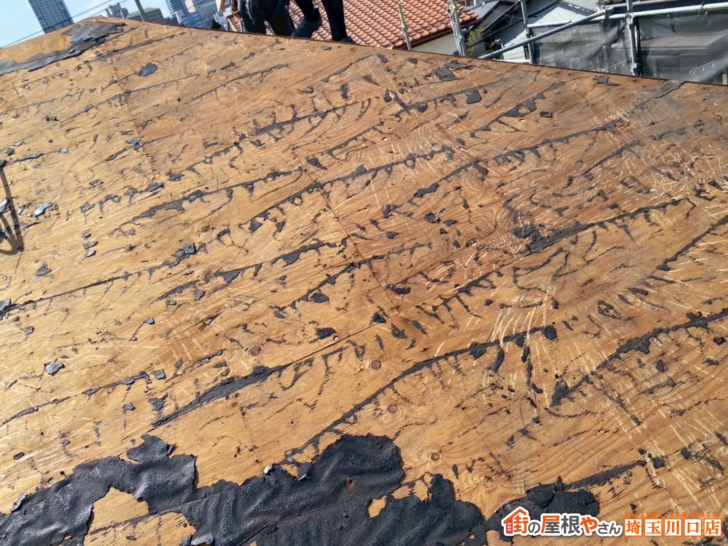 既存のルーフィング剥がし